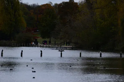 DSC_0556 (Large).JPG